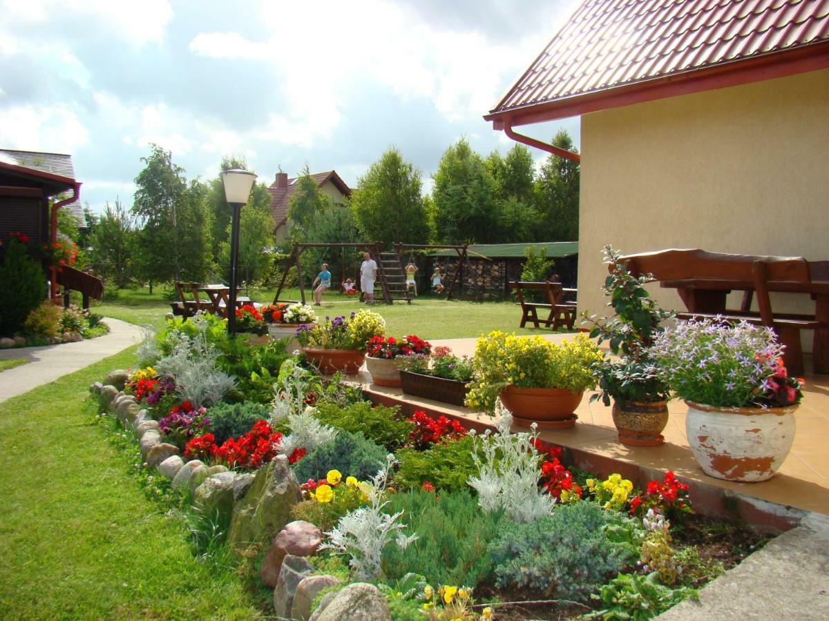 Homestay Prezydencja *